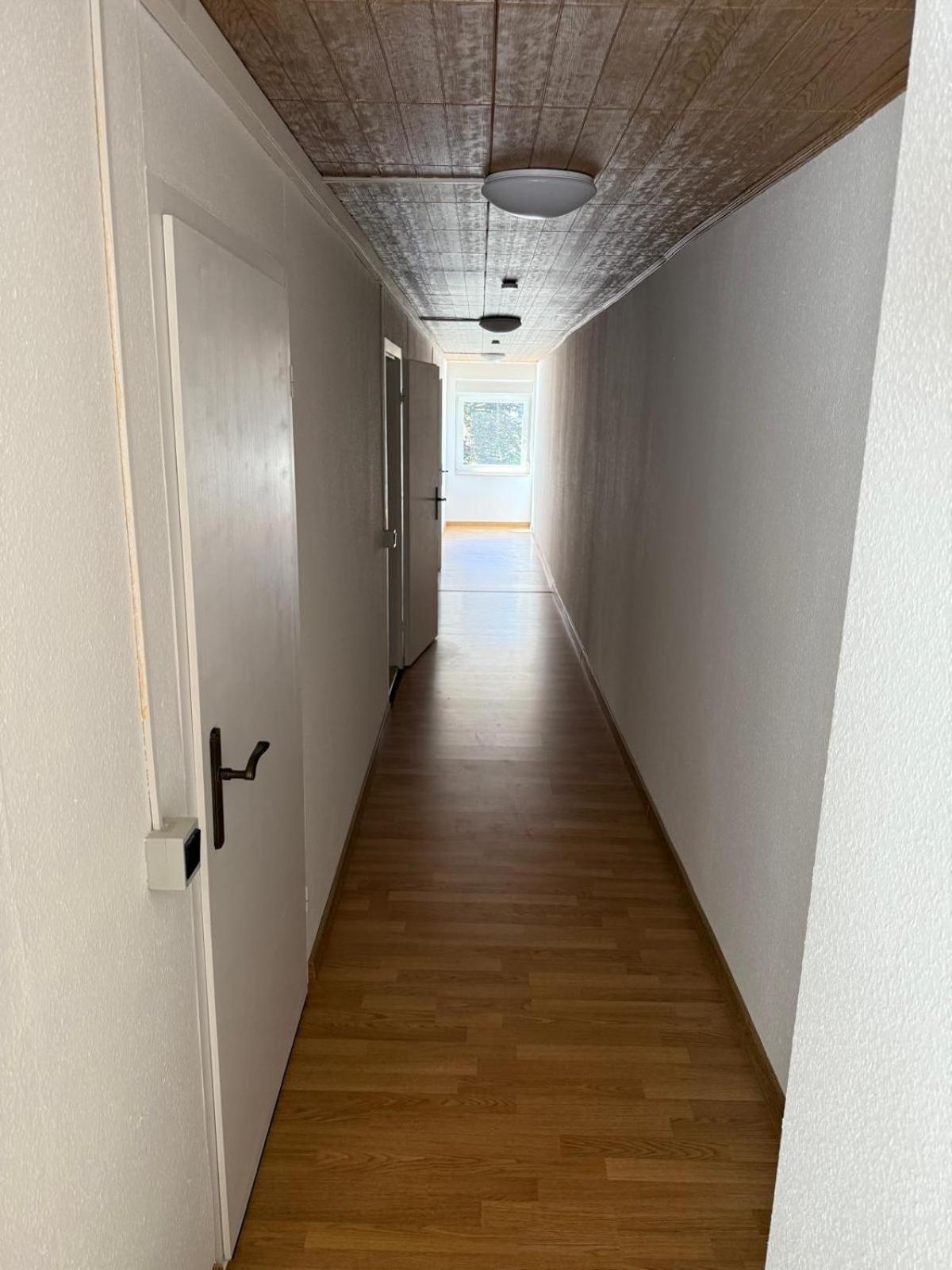 Borsdorf 1 L Leipzig