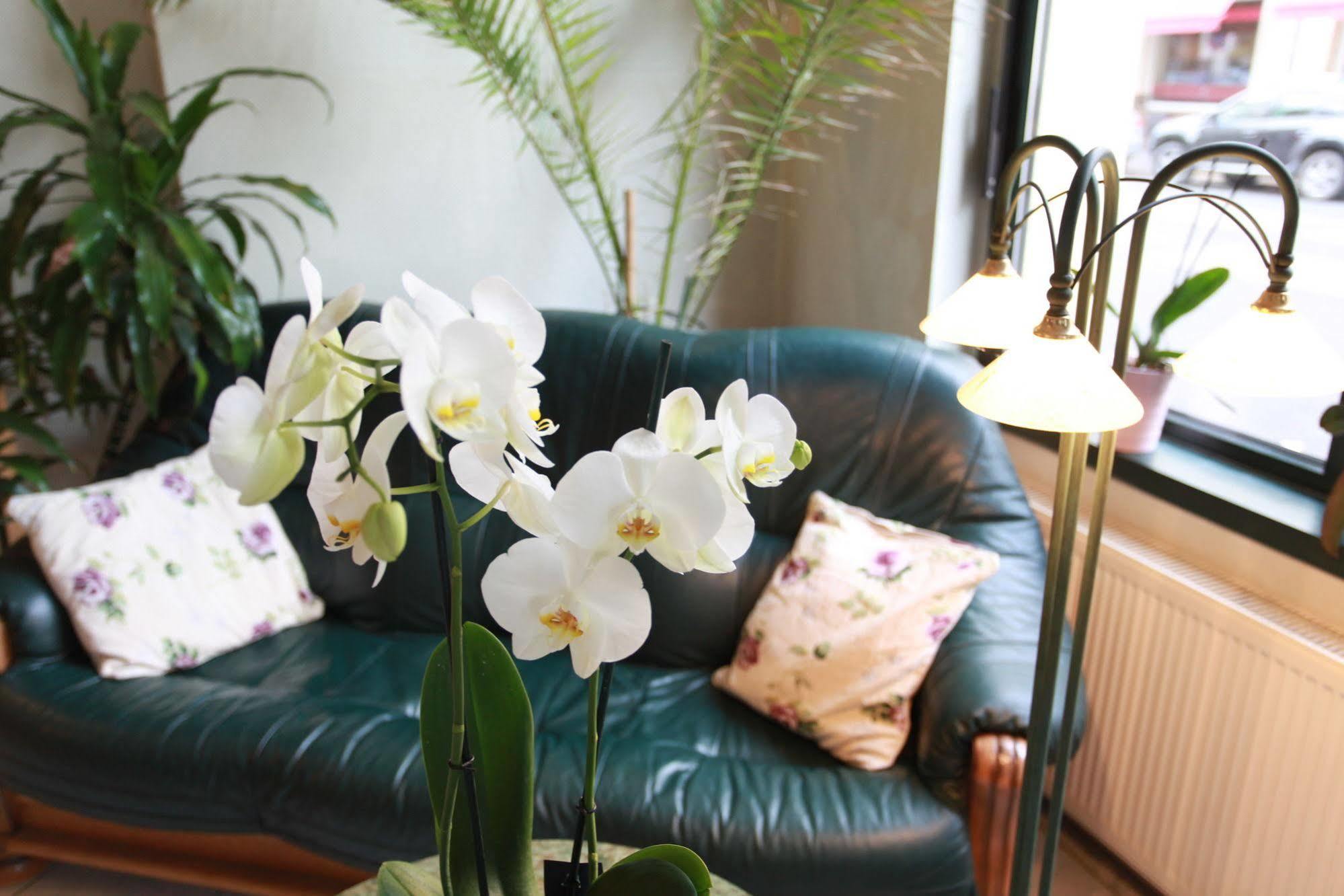 De Saxe Hotel 3*