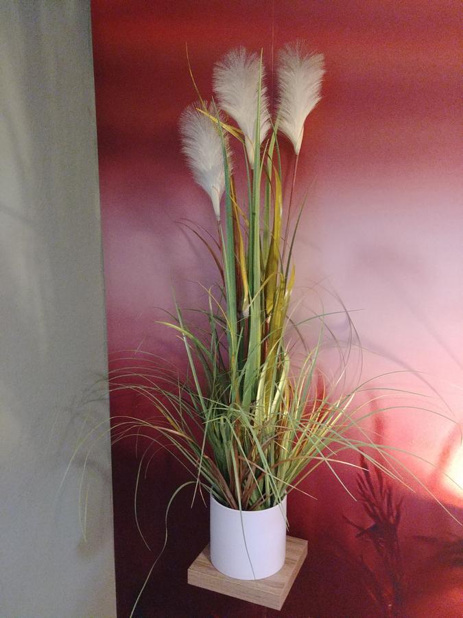Apartment Gapart - Mit Kueche *