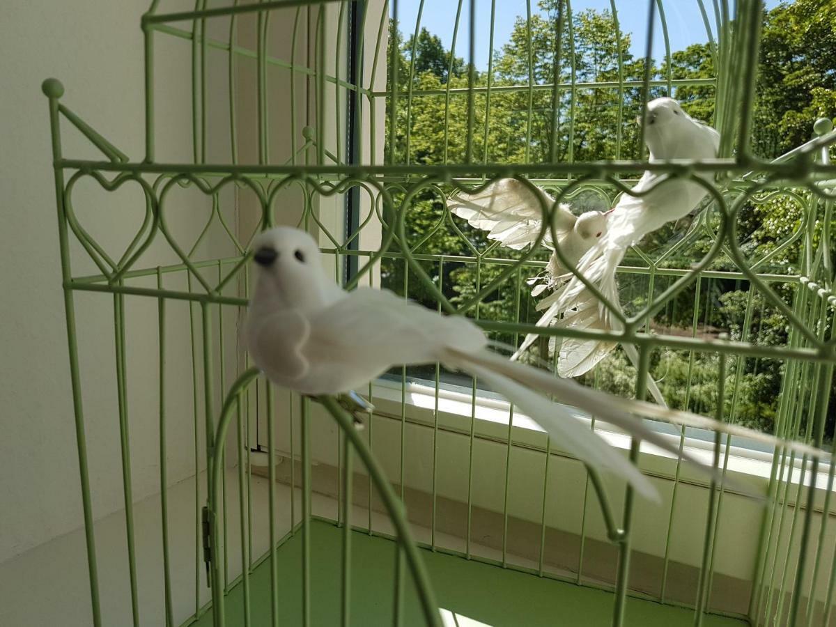 Kleinod Am Park - Zentrum-suedost Appartement *